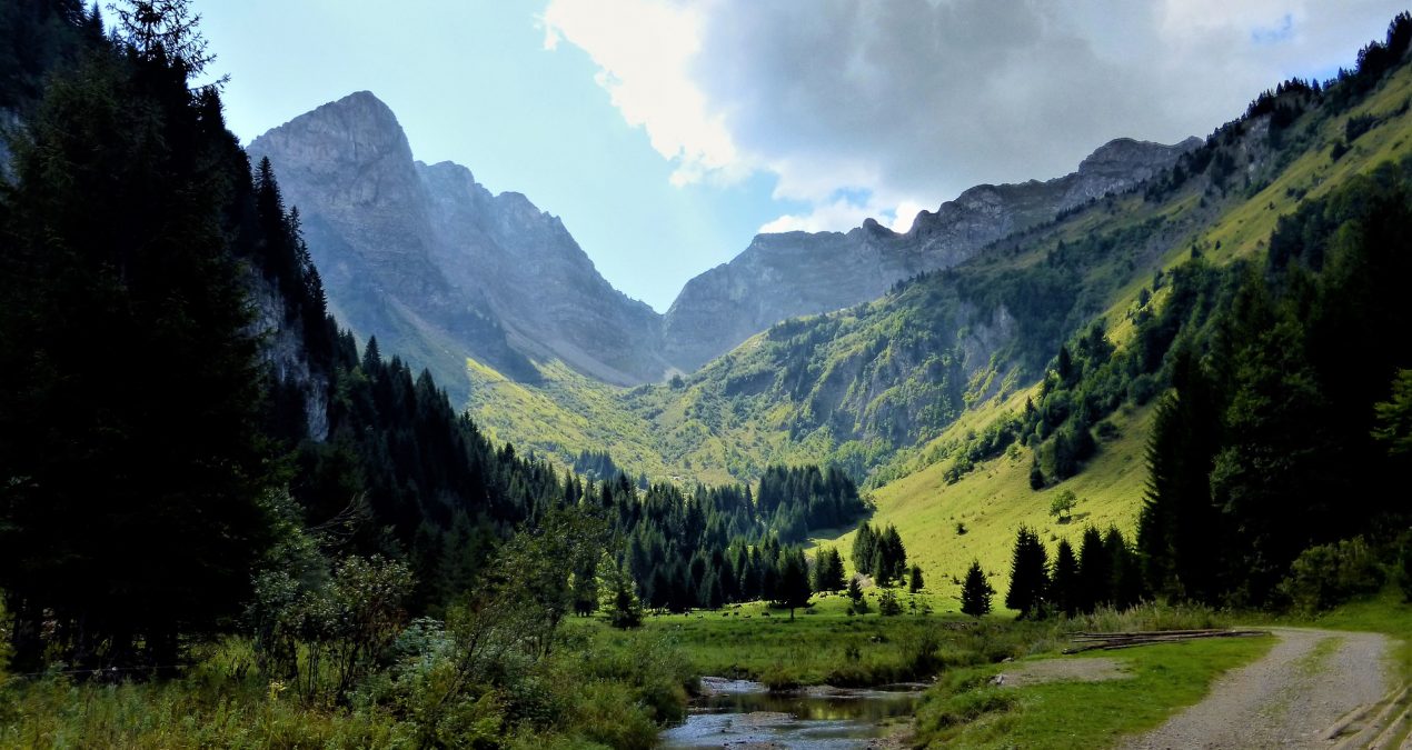 Bien préparer un déménagement à la montagne